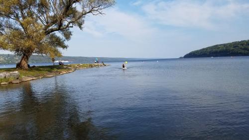 2019 Finger Lakes Open Water Swim Festival