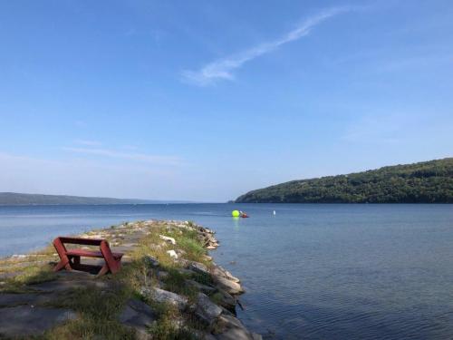 2019 Finger Lakes Open Water Swim Festival