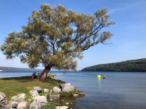 2019 Finger Lakes Open Water Swim Festival