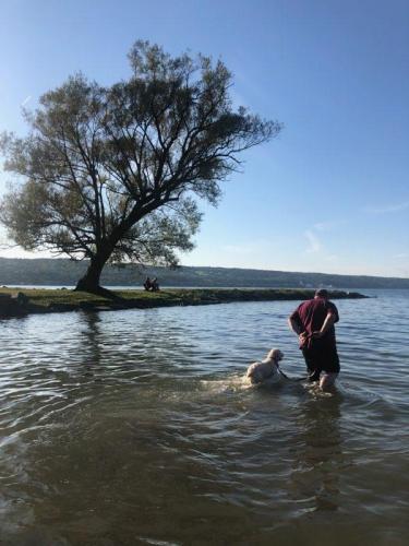 2019 Finger Lakes Open Water Swim Festival