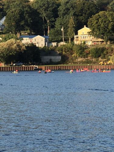 2019 Finger Lakes Open Water Swim Festival