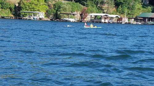 2020 Finger Lakes Open Water Swim Festival