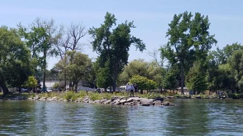 2020 Finger Lakes Open Water Swim Festival