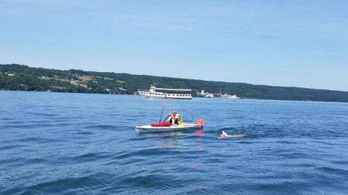 2020 Finger Lakes Open Water Swim Festival