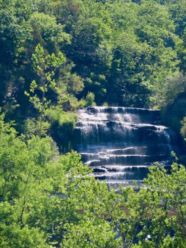 2020 Finger Lakes Open Water Swim Festival