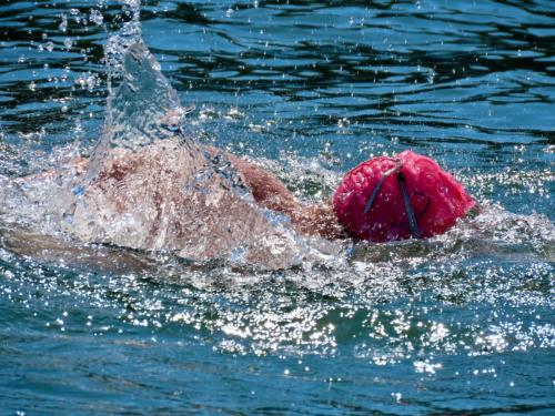 2020 Finger Lakes Open Water Swim Festival