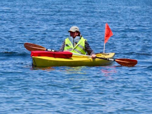 2020 Finger Lakes Open Water Swim Festival