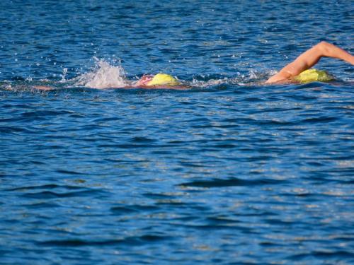 2020 Finger Lakes Open Water Swim Festival