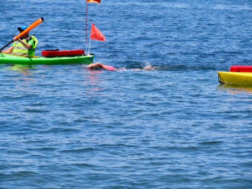 2020 Finger Lakes Open Water Swim Festival