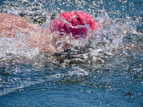 2020 Finger Lakes Open Water Swim Festival