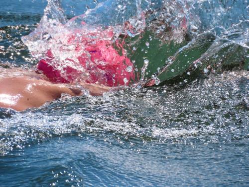 2020 Finger Lakes Open Water Swim Festival