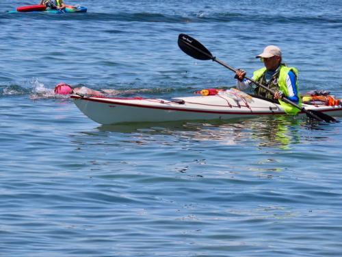 2020 Finger Lakes Open Water Swim Festival