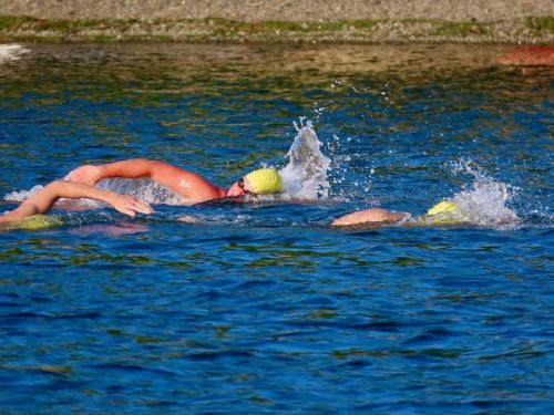 2020 Finger Lakes Open Water Swim Festival