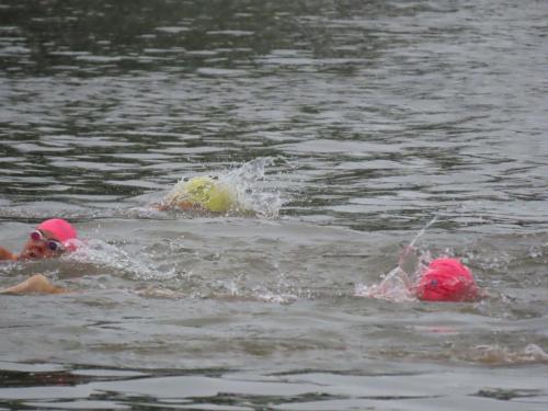 2021 Finger Lakes Open Water Swim Festival