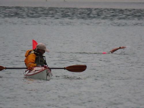 2021 Finger Lakes Open Water Swim Festival