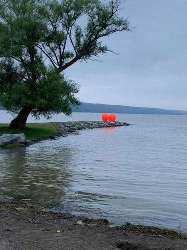 2021 Finger Lakes Open Water Swim Festival