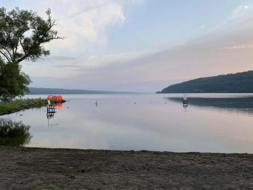 2023 Finger Lakes Open Water Swim Festival