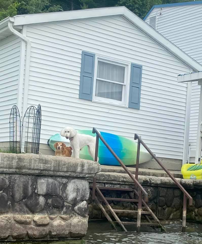 2025 Finger Lakes Open Water Swim Festival