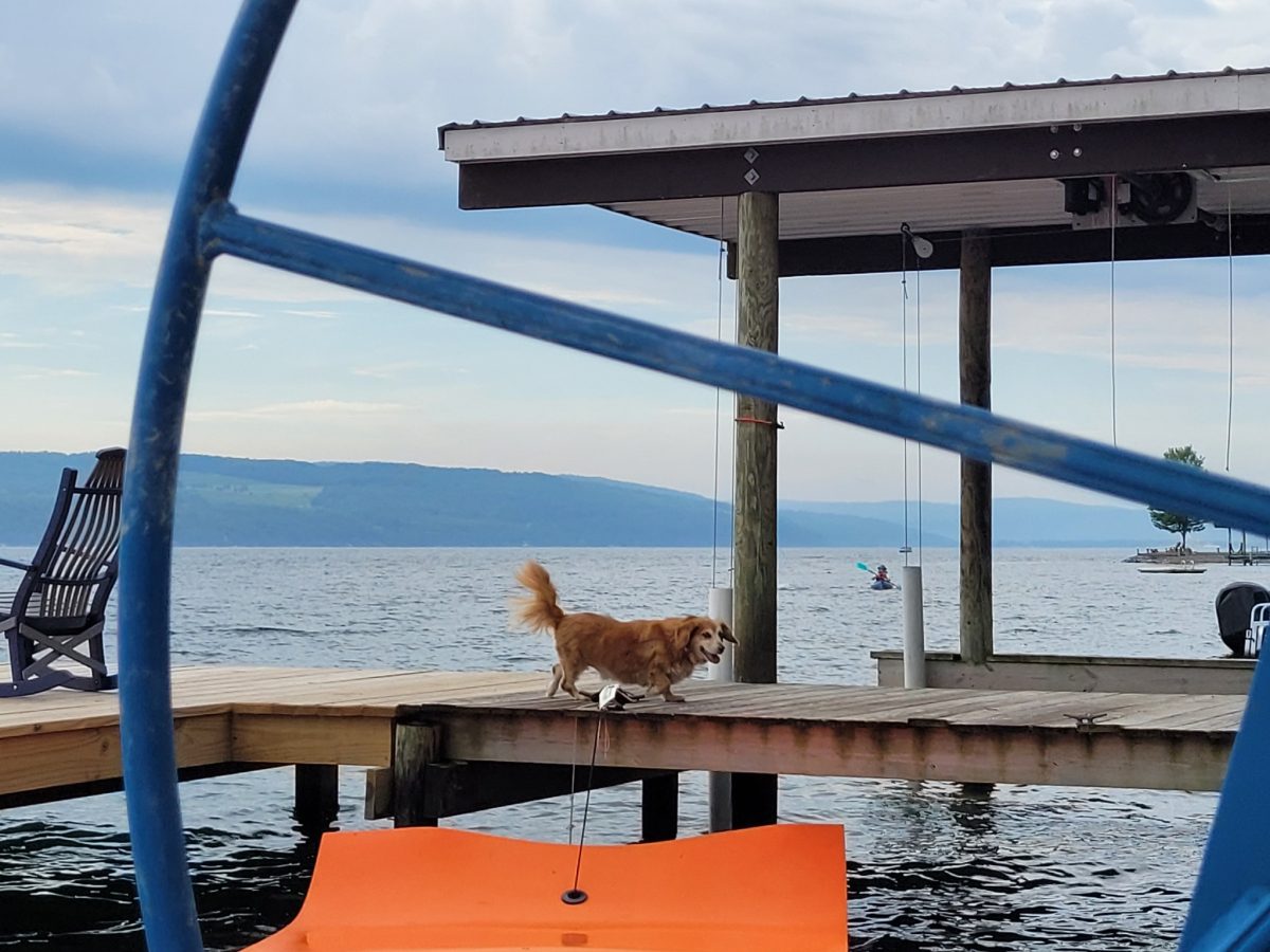 2025 Finger Lakes Open Water Swim Festival