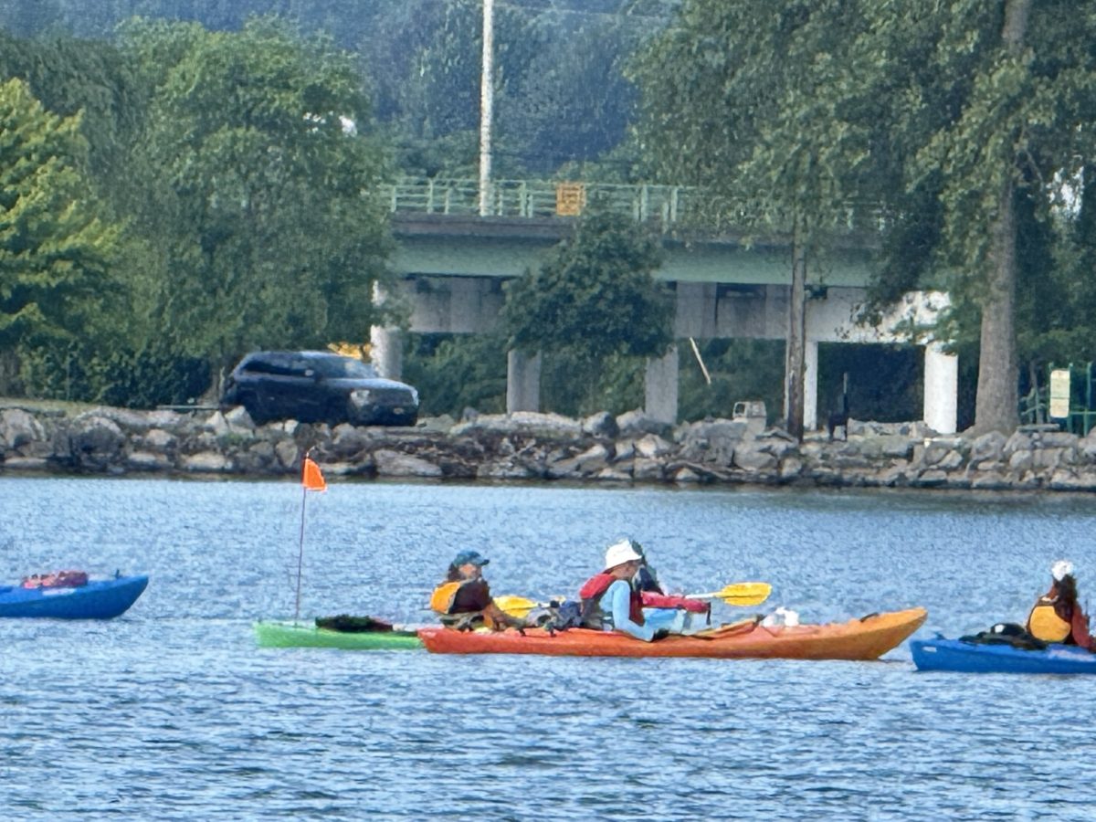 2025 Finger Lakes Open Water Swim Festival